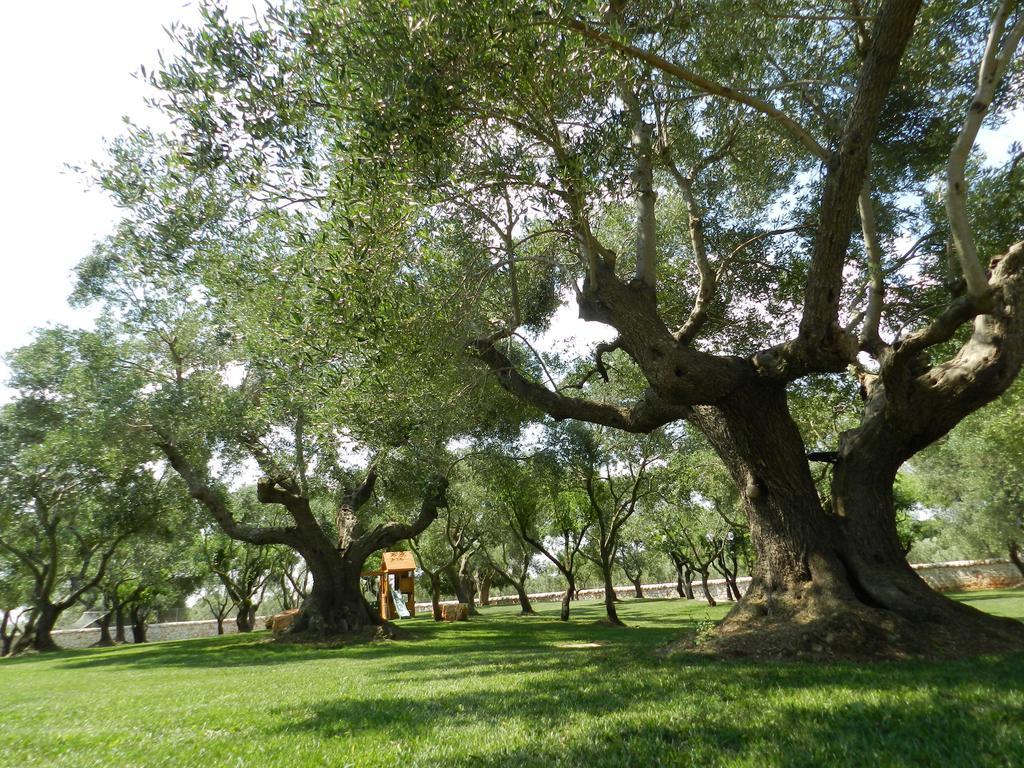 I Trulli Del Nonno Michele Guest House Alberobello Bagian luar foto