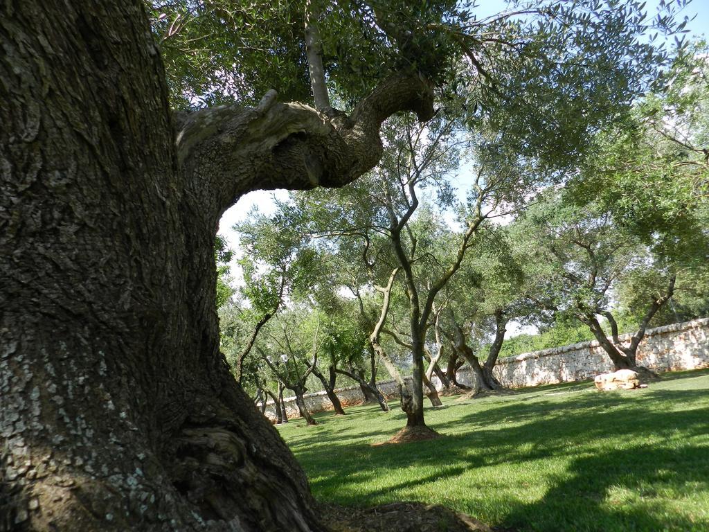 I Trulli Del Nonno Michele Guest House Alberobello Bagian luar foto